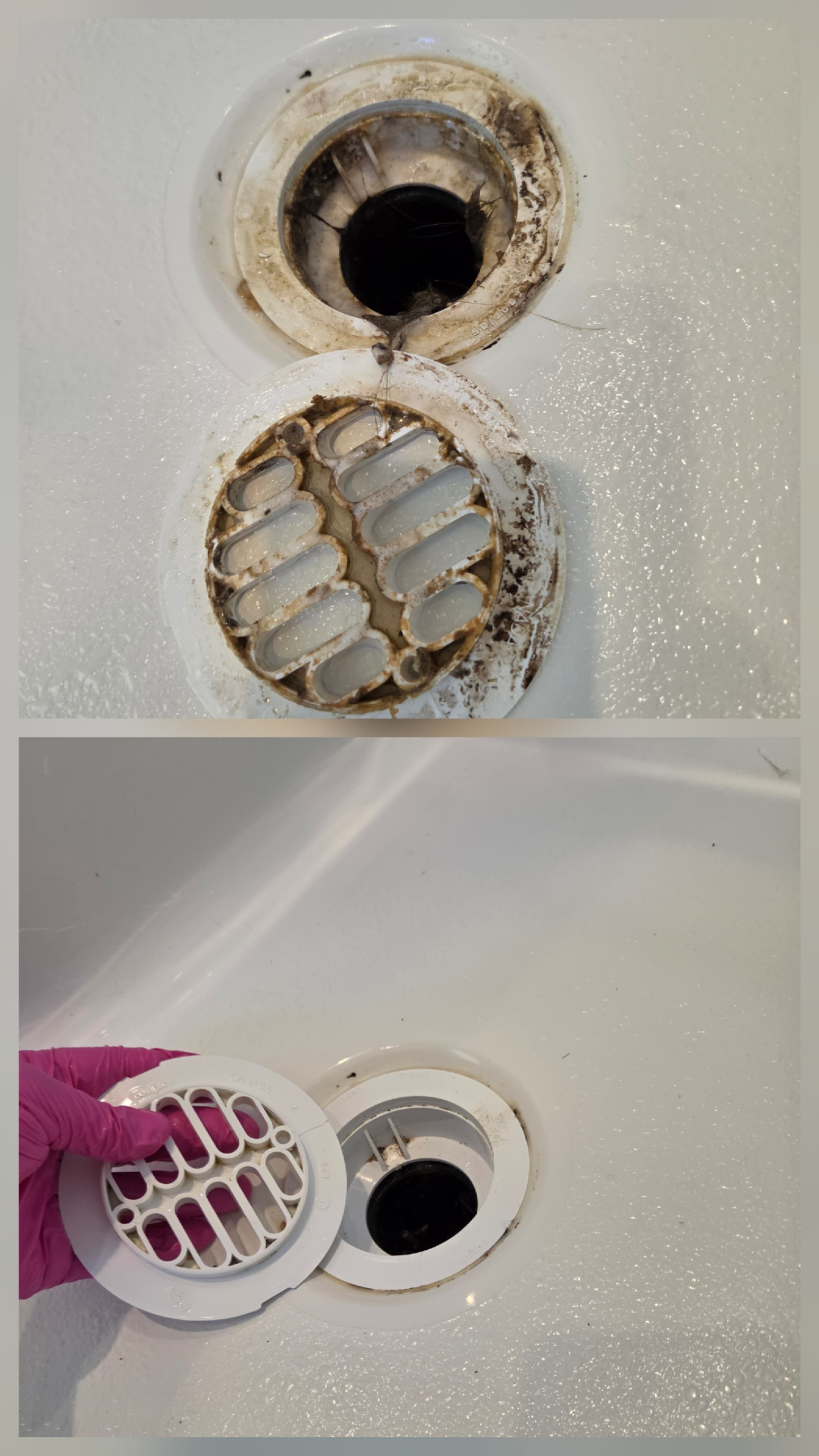 Before and after comparison of a grimy shower drain being cleaned and restored to white.